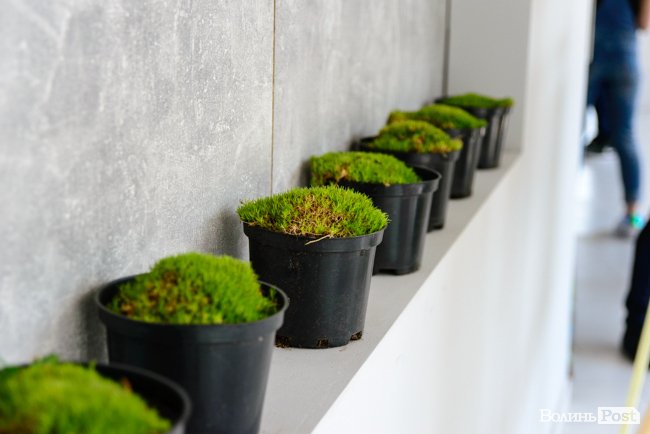 У луцькому «Промені» відбувся масштабний захід із гаслом «еко». ФОТО