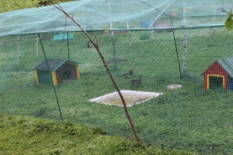 Звіринець в Луцьку відкриється 5 травня. ФОТО