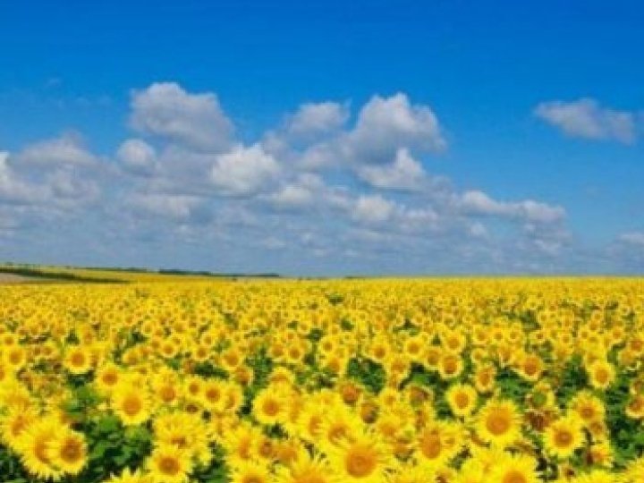 4 липня на Волині: гортаючи календар
