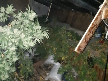 Волинські копи знищили потужні нарколабораторії