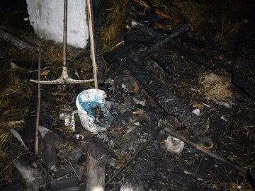 На Рівненщині у пожежі загинуло двоє маленьких дітей. ФОТО