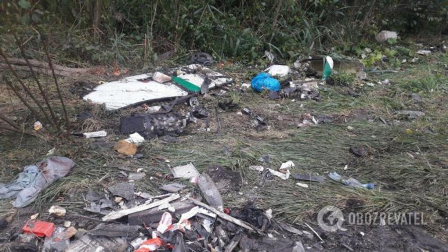 «Прокляте місце»: нові подробиці масштабної аварії із 9-ма загиблими на Житомирщині