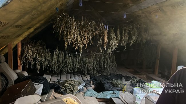 Наркотичні смаколики: подружжя з Луцького району замасковували психотропи в кондитерські вироби