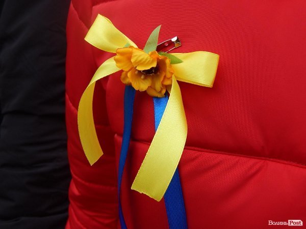 У Луцьку флешмобом відзначили День Соборності та Свободи