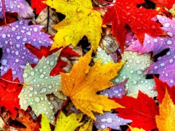 Погода в Луцьку та Волинській області на завтра, 5 листопада