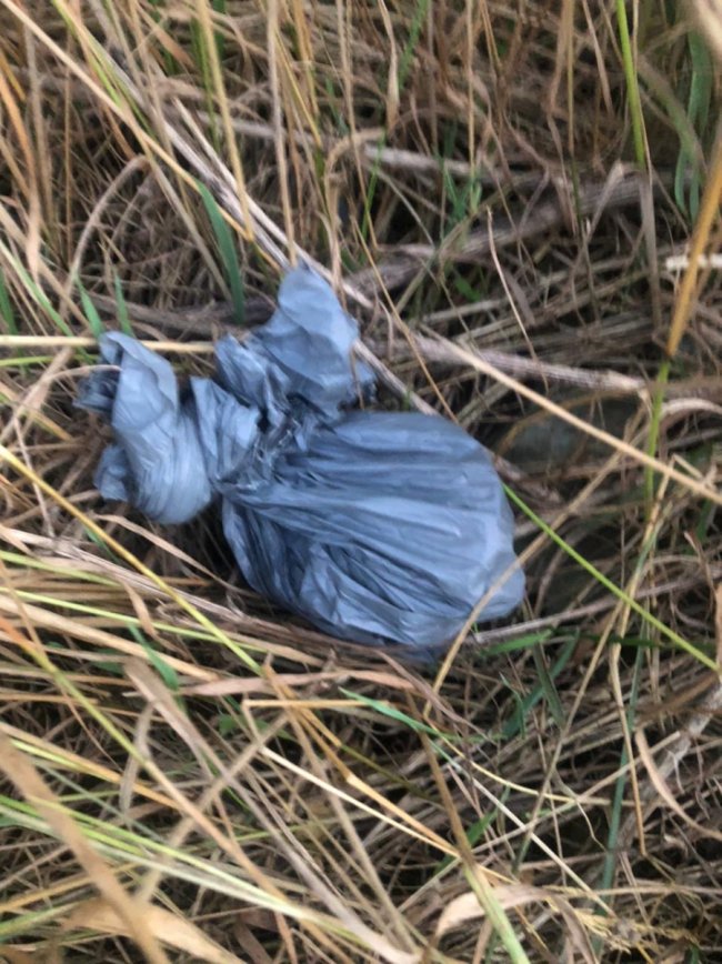 Судитимуть волинянина, який розповсюджував канабіс через «закладки»