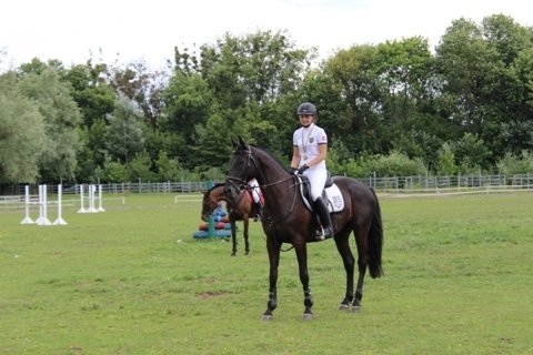 У Луцьку змагалися вершники. ФОТО