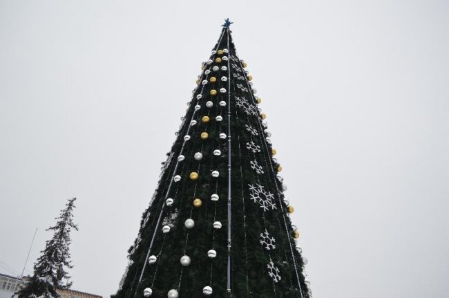 У Ковелі встановили головну ялинку громади. ФОТО