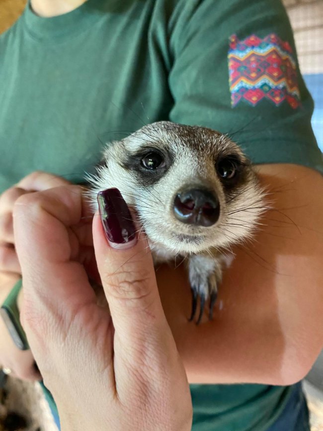 У Луцькому зоопарку – новий мешканець. ФОТО