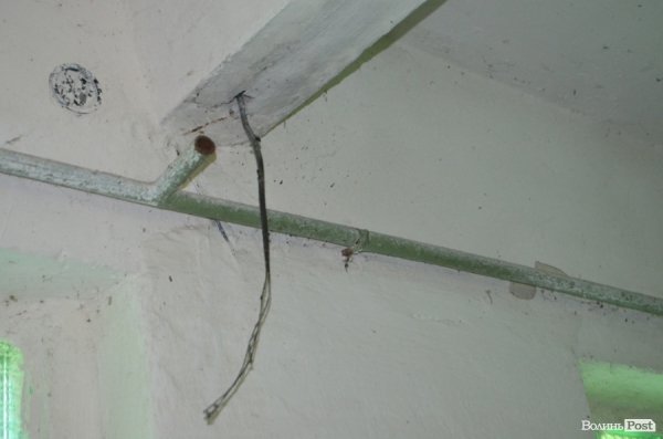 У Луцькому парку санітарна проблема: єдиний туалет нагадує кімнату жахів. ФОТО