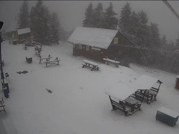 У Львові та Карпатах випав сніг. ВІДЕО