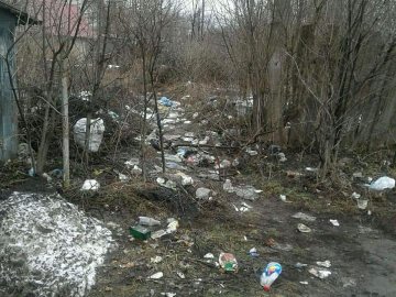 Лучани поїхали за кордон, кинувши напризволяще загиджену земельну ділянку