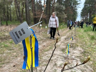 На Волині висадили понад сотню дубів у пам'ять про полеглих захисників і захисниць. ВІДЕО