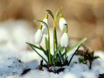 Погода в Луцьку та Волинській області на завтра, 22 березня