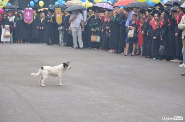 Першокурсників СНУ благословили на гарне навчання. ФОТО