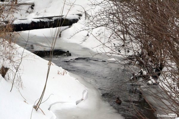 Лютий лютує: фото зими в Луцьку