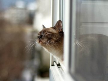 Погода в Луцьку та Волинській області на вівторок, 26 березня