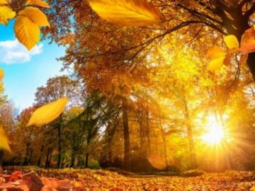 3 листопада – Іларіона Великого: традиції і заборони дня