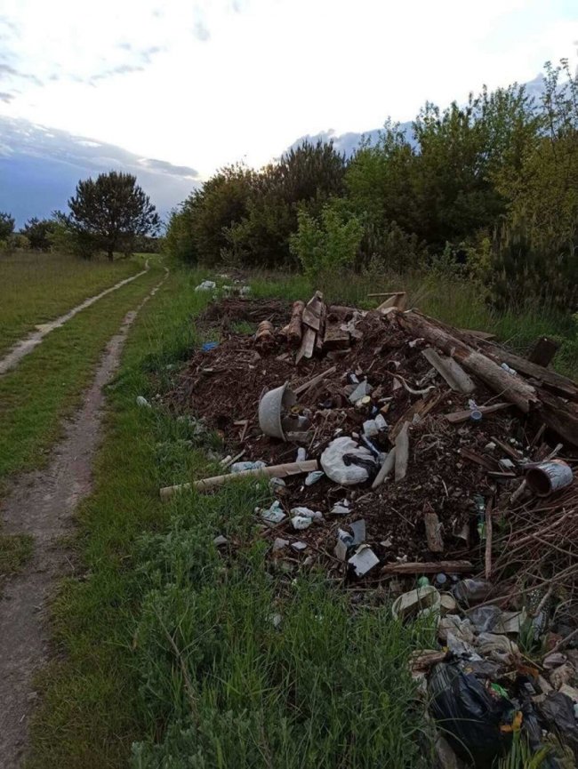 Біля села на Волині – стихійне сміттєзвалище. ФОТО