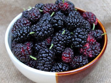 Українцям радять їсти шовковицю та черешні щодня: в чому користь