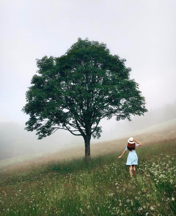 Іnstagram: вражаючі світлини карпатських гір