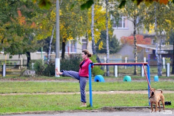 Луцьк. Ранок. Парк. Лучани. ФОТО