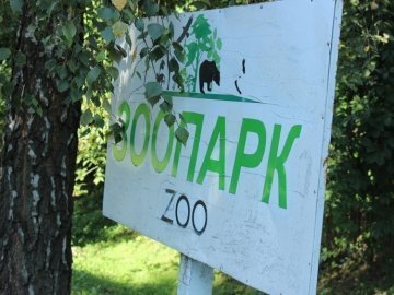 Мер Луцька сказав, коли почнуть реконструкцію зоопарку