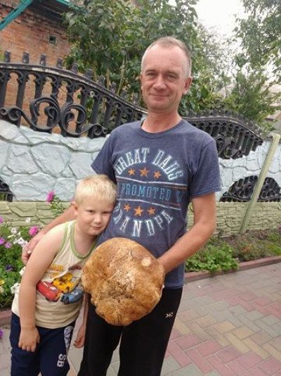 На Волині знайшли гриб вагою майже кілограм. ФОТО