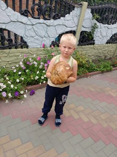 На Волині знайшли гриб вагою майже кілограм. ФОТО