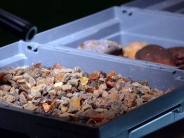 На складах «бурштинового» підприємства Волині – «скарбів» на 70 мільйонів