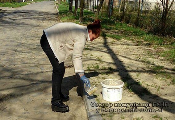 На Волині поліцейські вийшли на толоку. ФОТО 