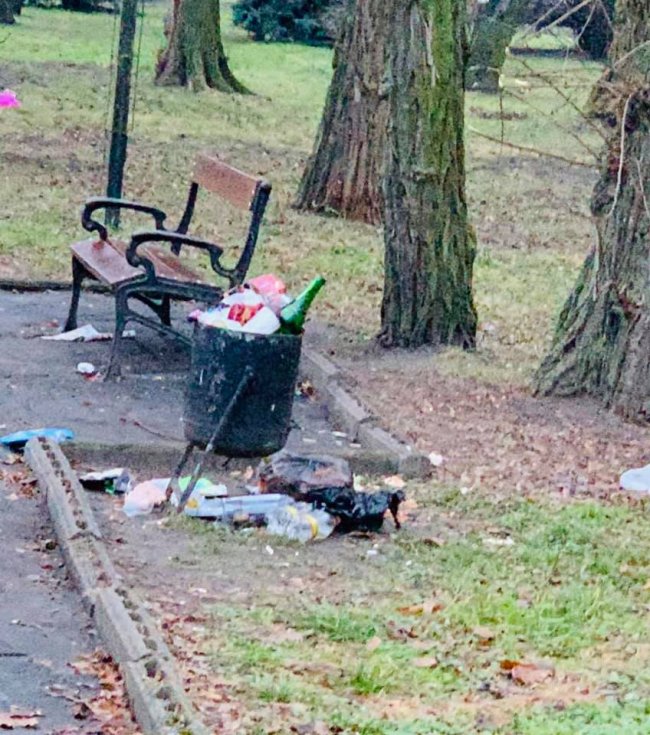 У місті на Волині можуть покарати директора комунального підприємства через безлад у парку