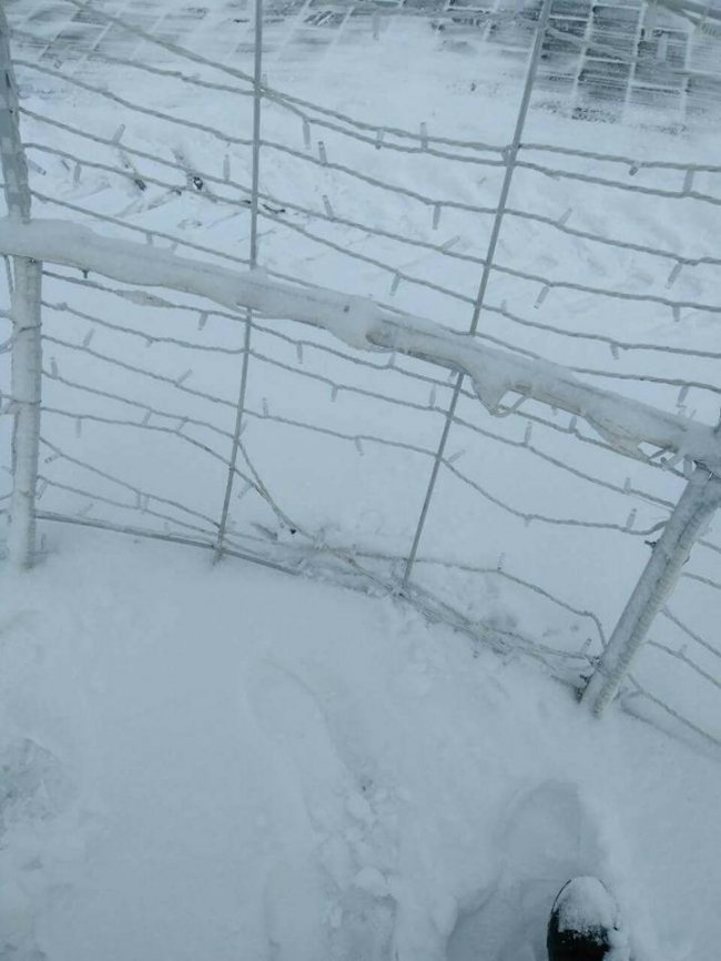 У Луцьку пошкодили новорічну кулю. ФОТО