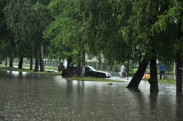 Фото: Антонина Климишина
