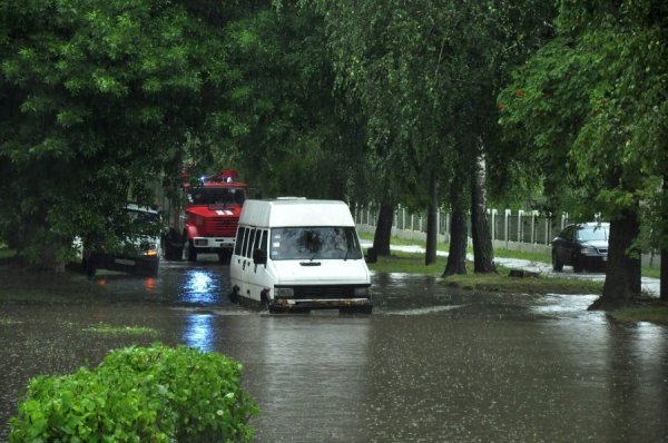 Фото: Антонина Климишина