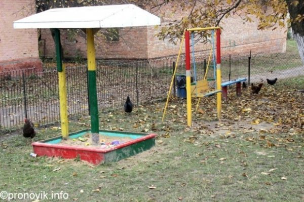 Конфлікт на Волині: мешканці будинку не хочуть жити у чистоті. ФОТО