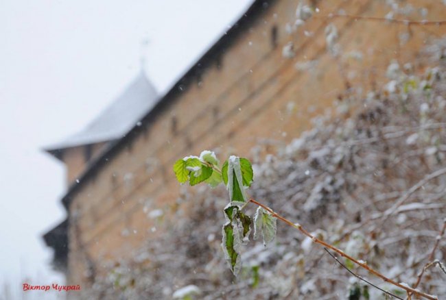 Старе місто в Луцьку засипало снігом. ФОТО