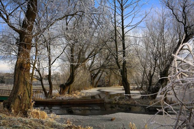 Неймовірна краса зимової річки на Волині. ФОТО