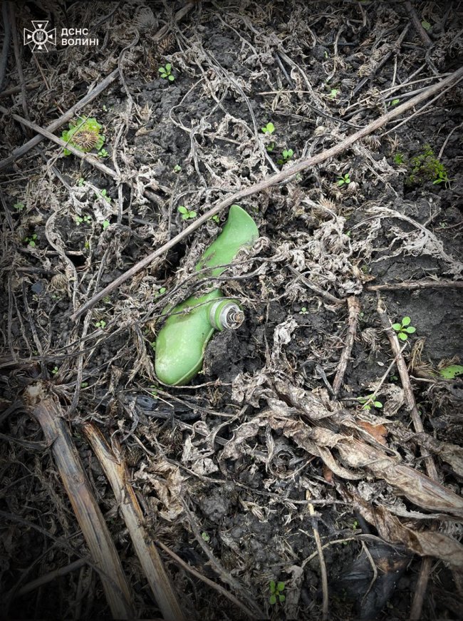 Волиняни продовжують розміновувати деокуповані українські землі. ФОТО