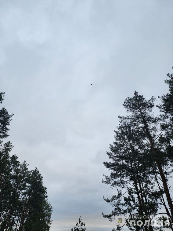 Сотні людей прочісують ліси на Волині у пошуках зниклої студентки