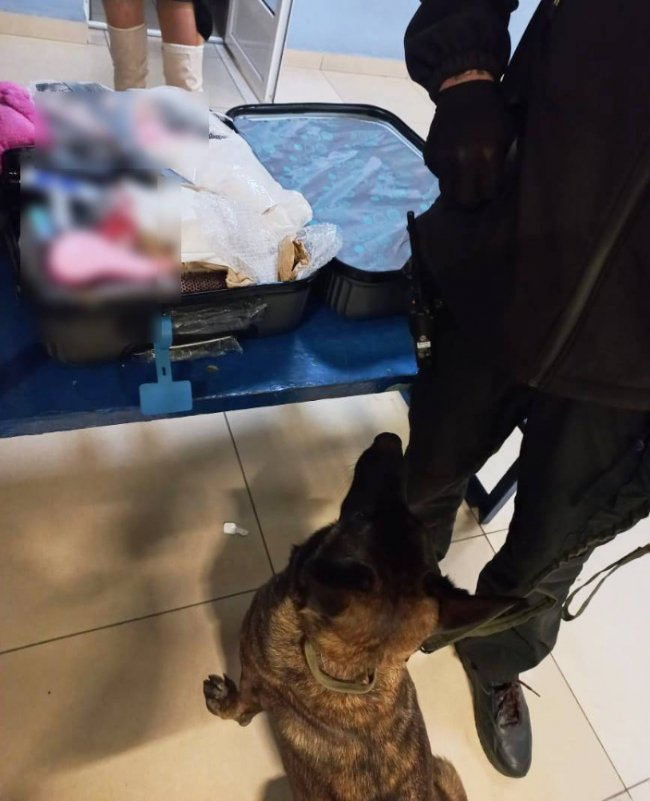 У «Ягодині» прикордонники знайшли наркотики у 18-річної пасажирки автобуса