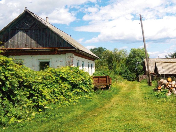 В селі на Волині живуть всього 20 людей: подробиці