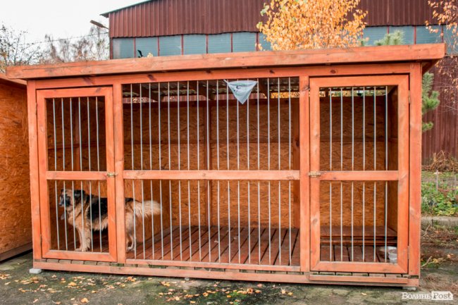 Тепло для чотирилапих: лісівники забезпечили дровами луцьку «Ласку». ФОТО