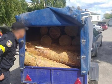 Затримали 20-річного волинянина, який перевозив 19 колод сосни без документів