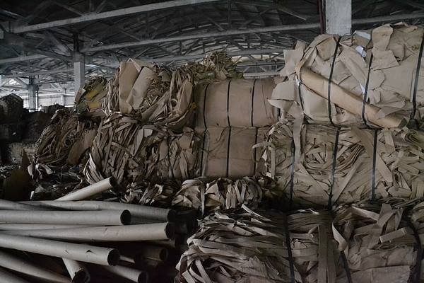 Луцьким школярам показали, як переробляють відходи та виробляють папір. ФОТО