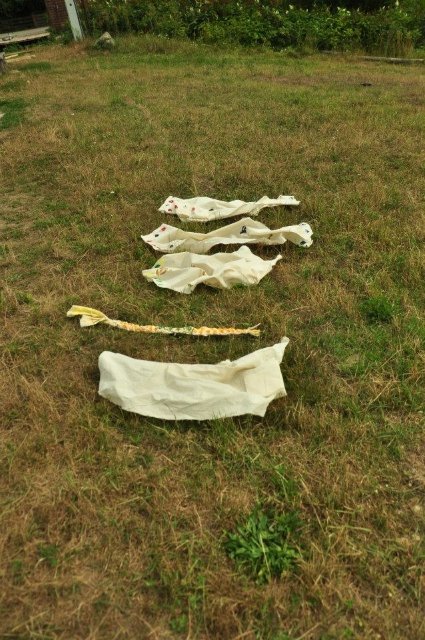 Лучанка влаштувала етно-показ одягу під Києвом. ФОТО. ВІДЕО