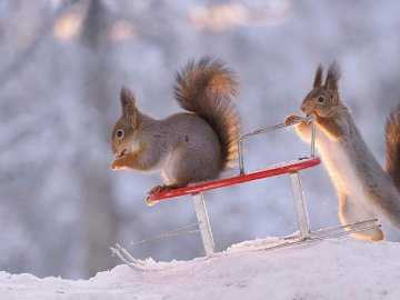 Погода у Луцьку та Волинській області на завтра, 17 січня