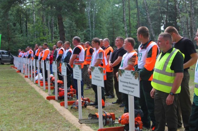 На Волині обрали кращого лісоруба. ФОТО