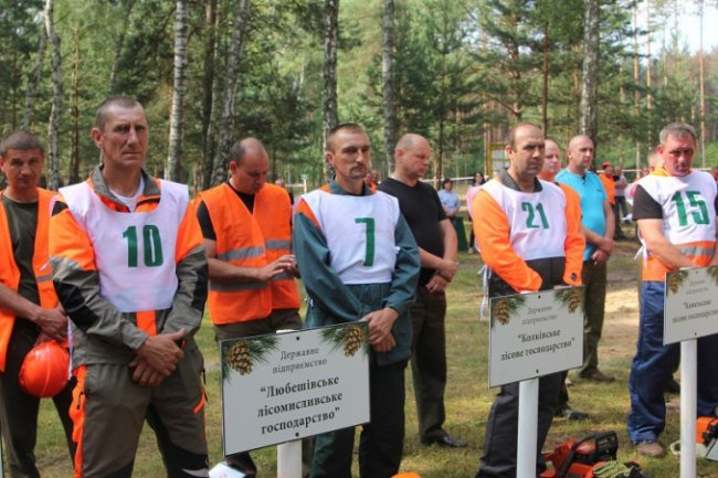 На Волині обрали кращого лісоруба. ФОТО