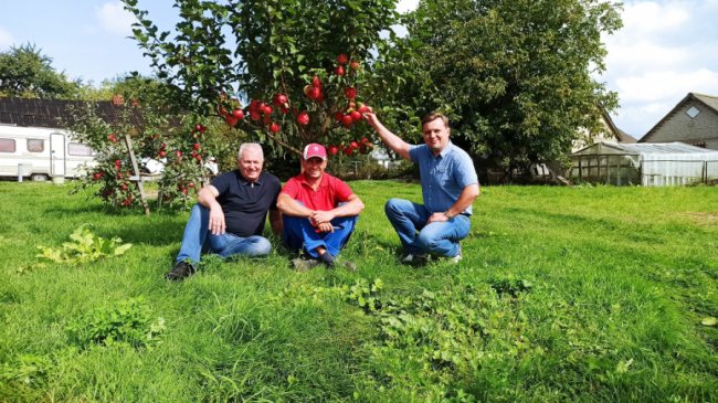 Одне гроно – 2,5 кілограми: волинський аграрій вирощує понад пів сотню сортів винограду. ФОТО